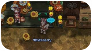 Whiteberry.png